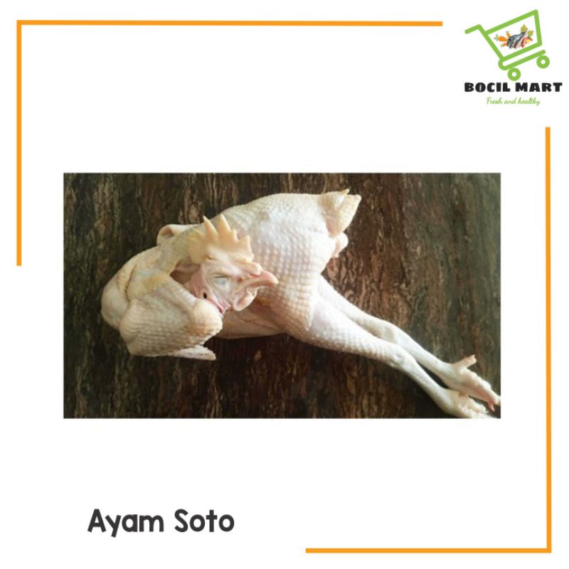 

AYAM SOTO / AYAM ABANG / AYAM SOTOAN 1 EKOR BOCIL MART