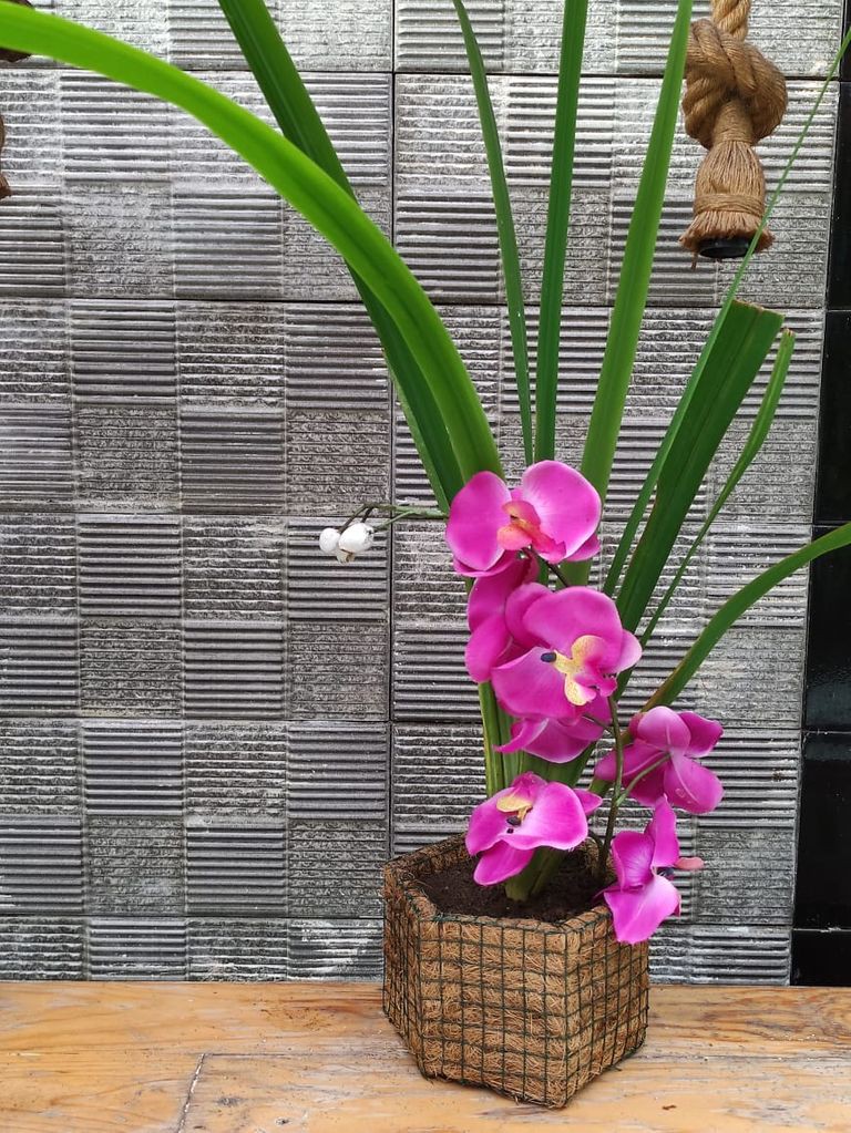 Pot Sabut Kelapa segi enam