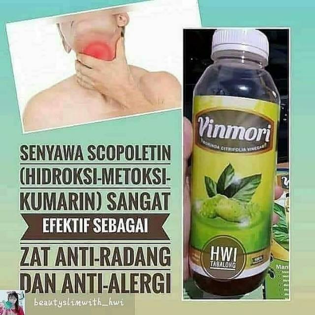 

Vinmori Cuka alami yg dibuat dr prasan buah mngkudu jnis Morinda citrifolia mdung antioksidan