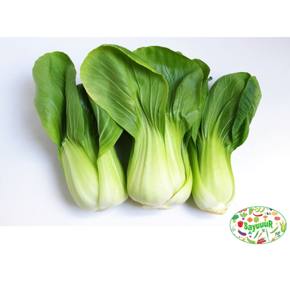 

sayur pakoy/pokcay perikat