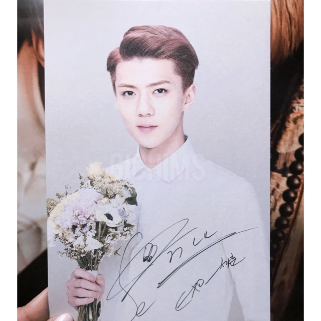 EXO Nature Republic Postcard