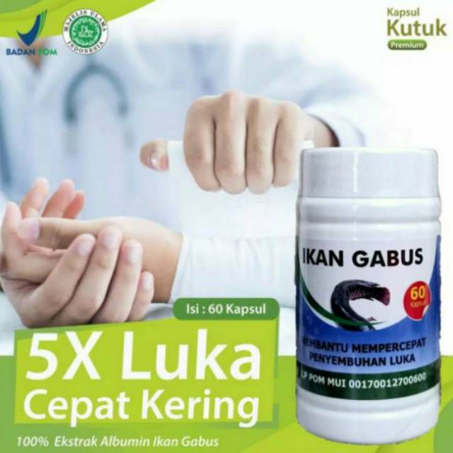Kapsul Ikan Gabus | Kapsul Extra Kutuk BPOM
