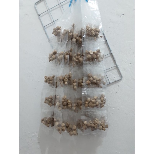 

kapol renceng/50pcs/paket usaha