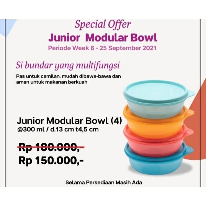 Junior modular bowl set (4)