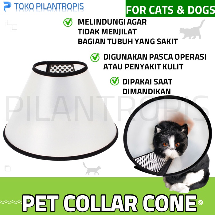 PET COLLAR CONE KUCING ANJING COLAR CORONG PENUTUP PELINDUNG LEHER KUCING ANJING CAT AKSESORIS ASESORIS ACCESORIES AKSESORIS KUCING MURAH