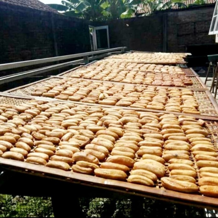 

Instant-Camilan- Sale Pisang Basah Panggang - Aona Kebumen -Camilan-Instant.