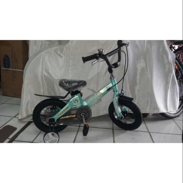BMX Pacific Zeckrom TW 001 12inch