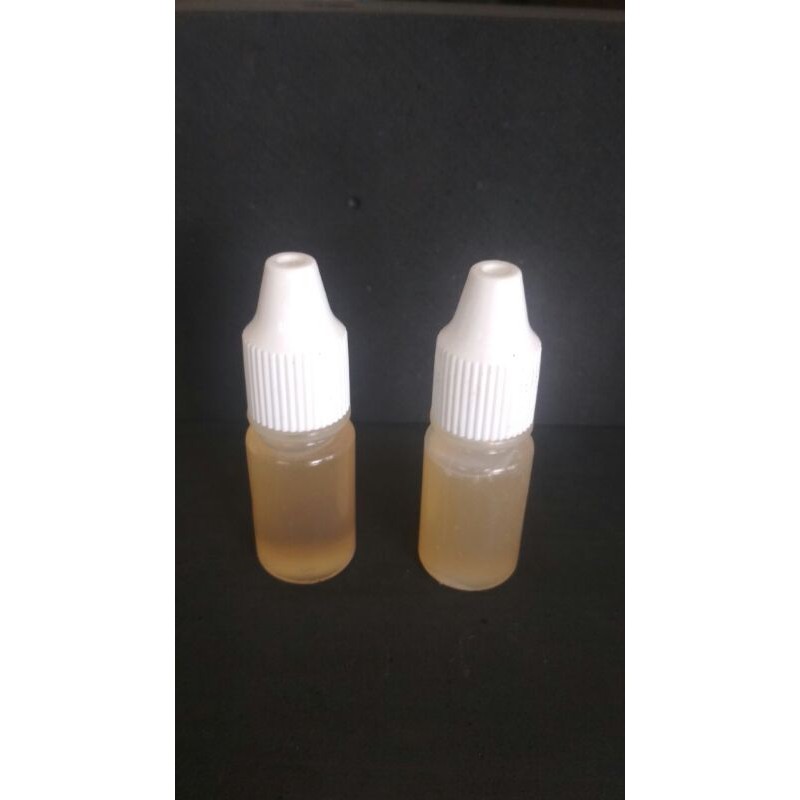 essen oplosan Ikan Mas Babon.indukan.Durian