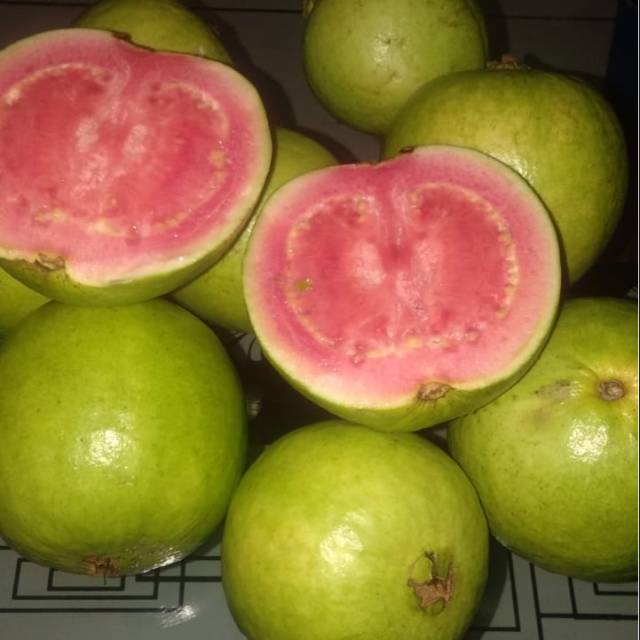 

Jambu Biji Merah