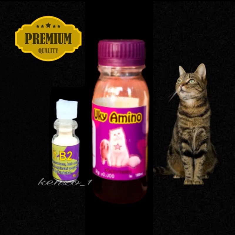 Paket Vitamin Kucing Amino 100ml &amp; B2 untuk Perawatan Kesehatan BULU RONTOK GEMBUL NAFSU MAKAN PENGGEMUK BADAN PELEBAT PEMANJANG BULU Penguat IMUN