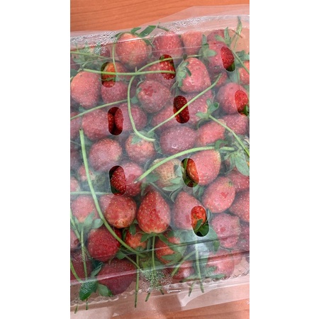 

strawberry milk yakult jelly