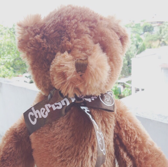 ellerizaishakhasandy