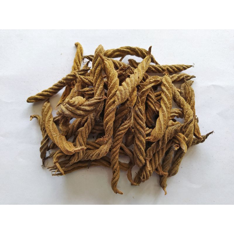 

Cabe Pilin / Cabe Putar / Cabe Ules / Kayu Ulet / Kayu Ules