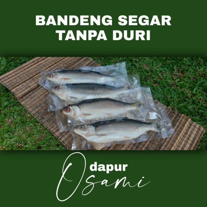 

Bandeng Segar Tanpa Duri BESAR . Bandeng Osami . Bandeng Presto MURAH . Bandeng oleh-oleh khas SEMARANG