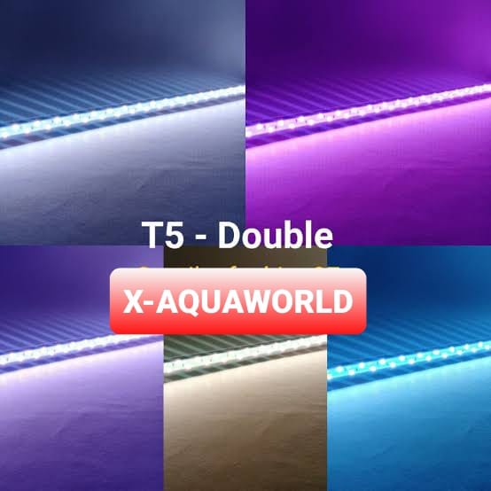 SAKKAI PRO  - Tanning Lamp (T5 Double) - 1000cm - 20w