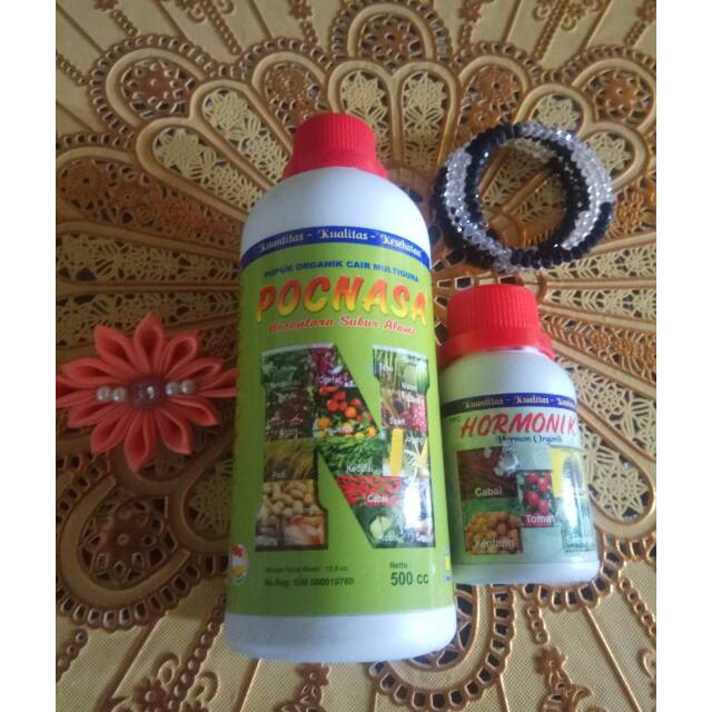 Poc NASA &Hormonik