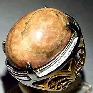 batu cincin  fosil kayu aren