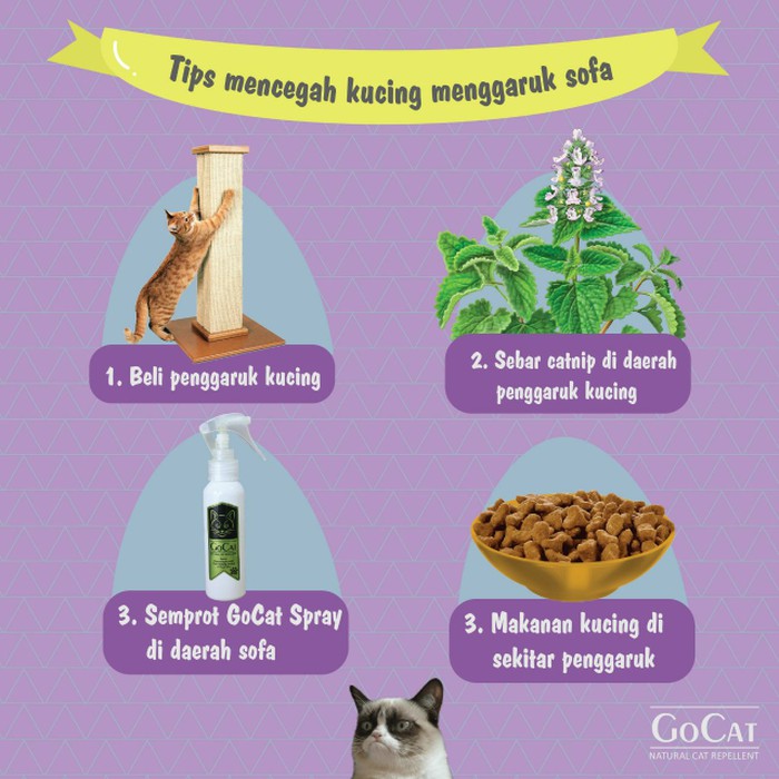 GoCat Obat Alat Pengusir Kucing Liar Berak Super Ampuh, Go Cat Repellent  Spray 100ml