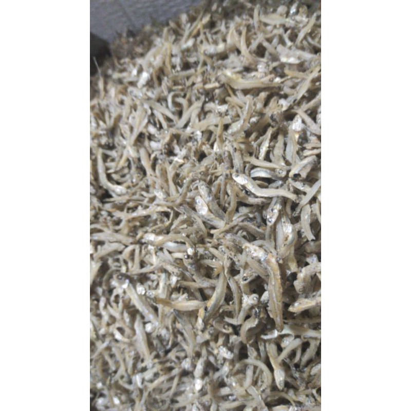 

ikan Teri Pontianak 500gr