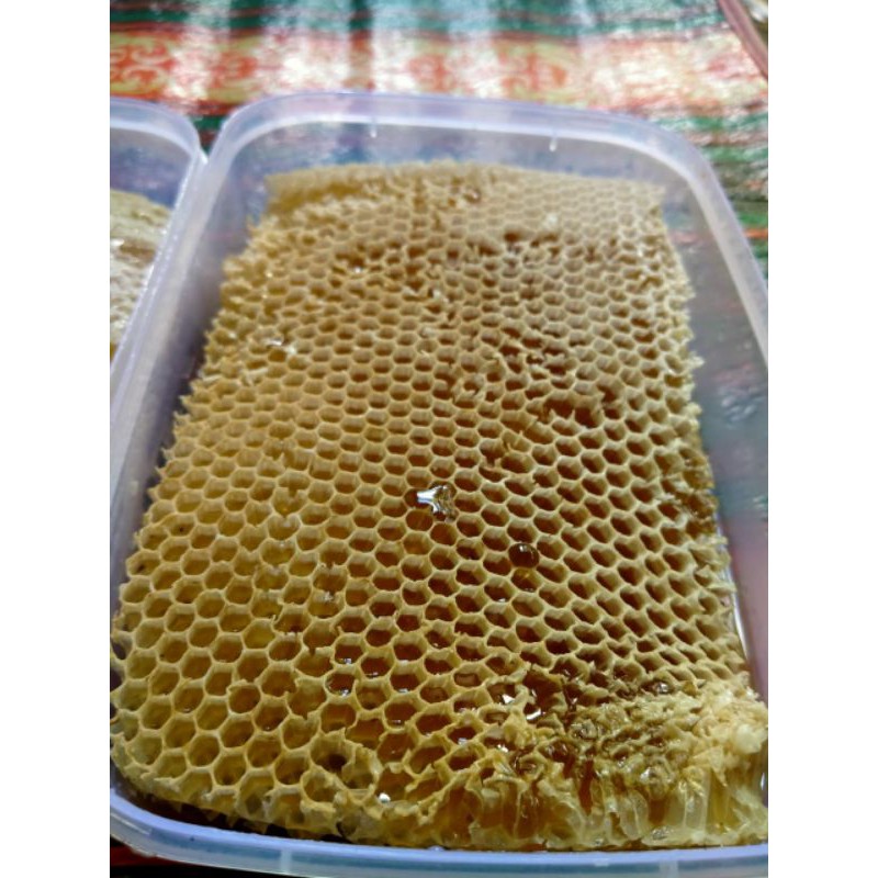 

Sarang Madu Ternak Lumer