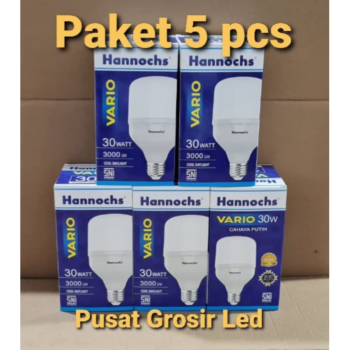 Paket 5 pcs Hannochs Vario 30 Watt Cahaya Putih