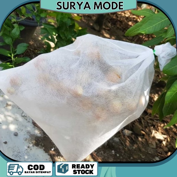 

brongsong buah mangga size M pembungkus buah mangga di pohon