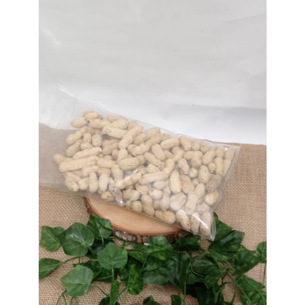 

Kacang Bawang Kulit - Kacang Kulit