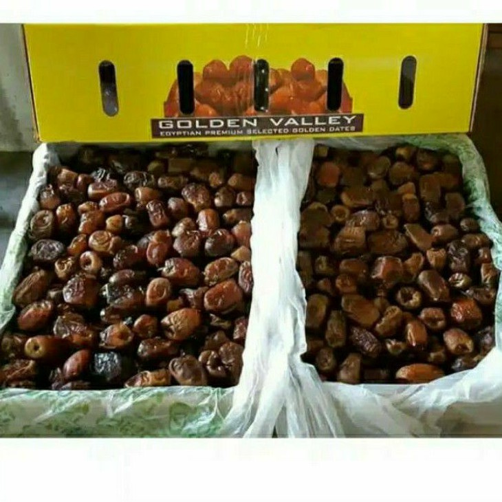 

Kurma Mesir GoldenValley/Giza DAtes 10kg