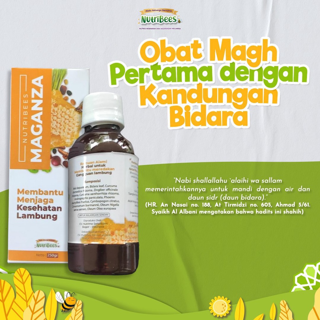 

Madu, Madu Asli, madu lambung kronis, Nutribees Maganza