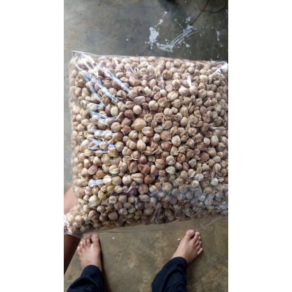 

JUAL Buah Kapolaga atau Kapol Kering 100gr