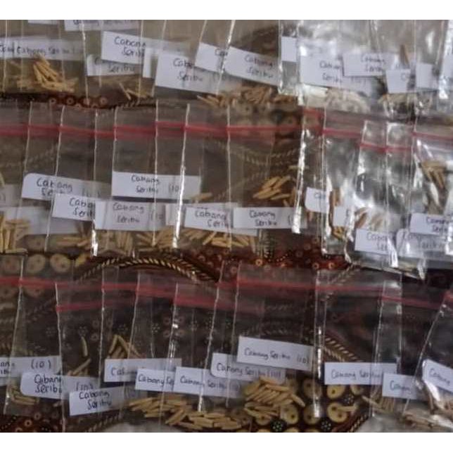 Seeds/Biji/Benih Tanaman Hias Adenium CABANG SERIBU (CABSER)