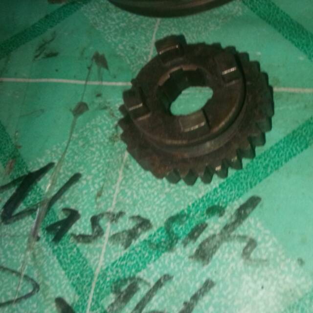 gigi rasio gl 100 gl pro mata 29