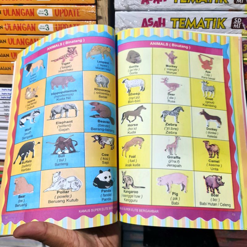 Buku Kamus Bahasa Inggris Bergambar : Super Elite Grammar and Coversation Inggris - Indonesia