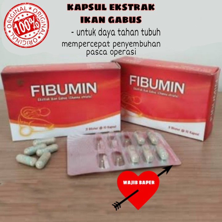 Fibumin Albumin Vitabumin Isi Kaps 30 S Ekstrak Ikan Gabus Vitamin Ibu Hamil Dan Operasi Sesar Indonesia