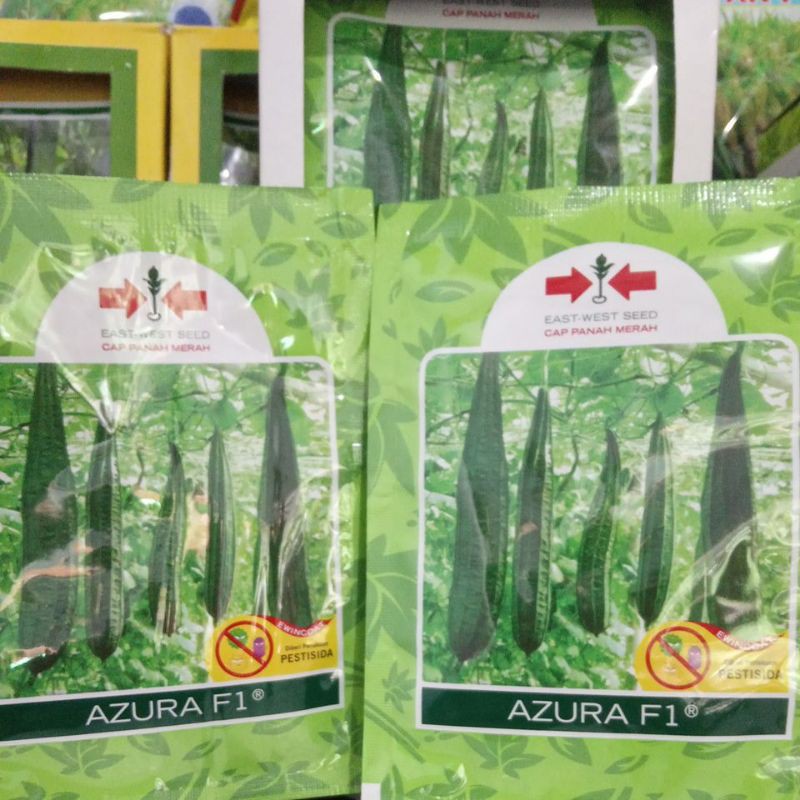 Benih Oyong Azura F1