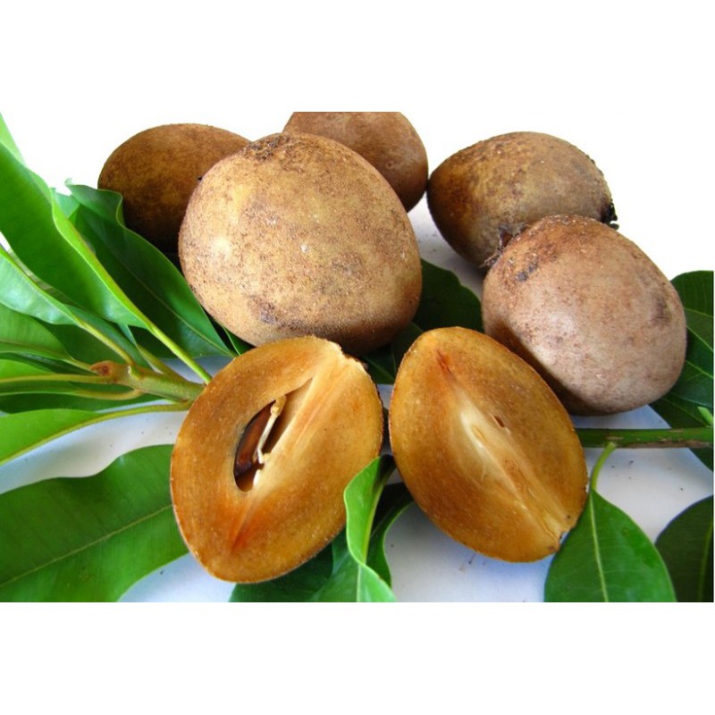 

Sawo Madu 1 kg