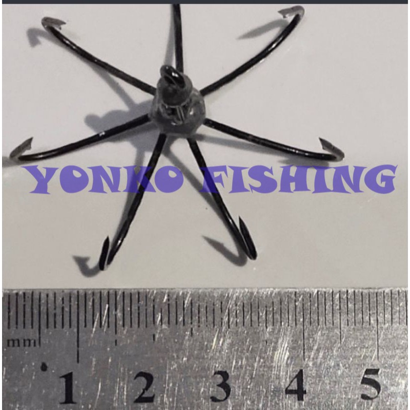 KAIL GARONG MATAHARI/CLITORIS