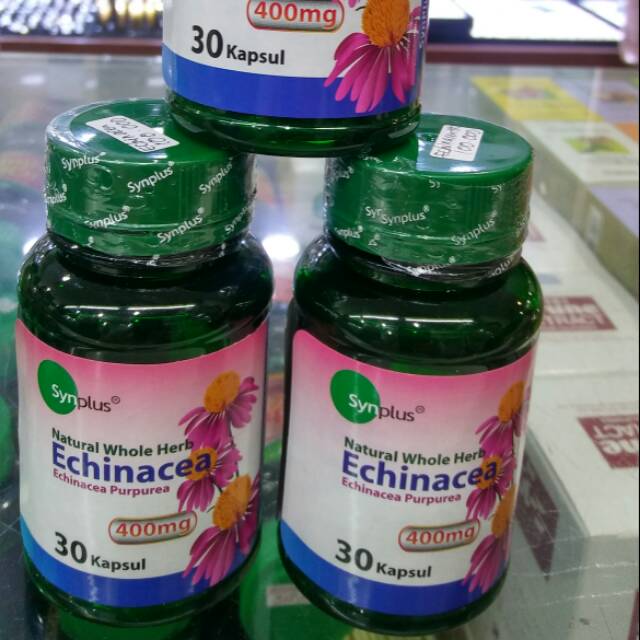 Jual Echinacea Purpurea 400mg Synplus | Shopee Indonesia