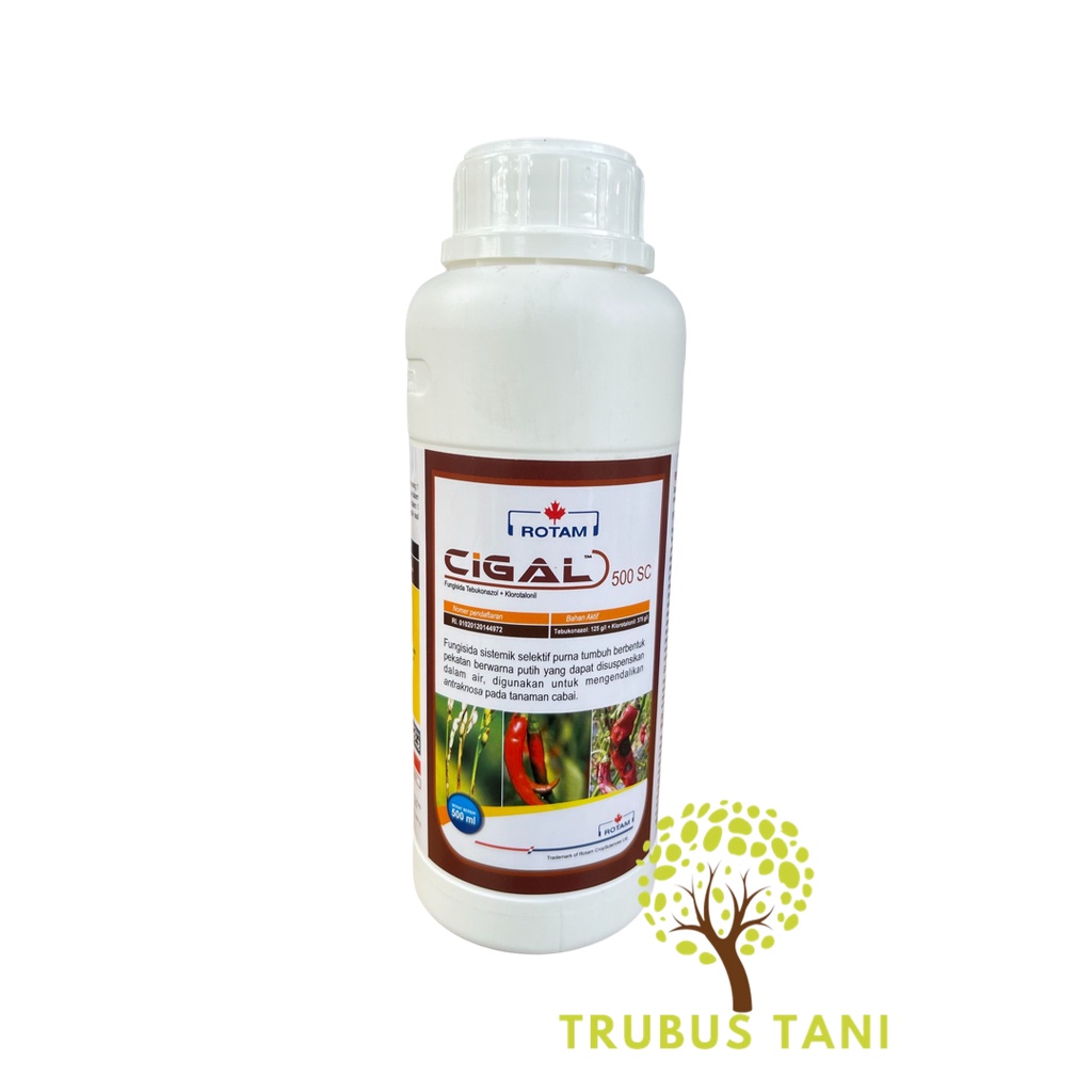 FUNGISIDA TEBUKONAZOL CIGAL 500 SC - 500ml