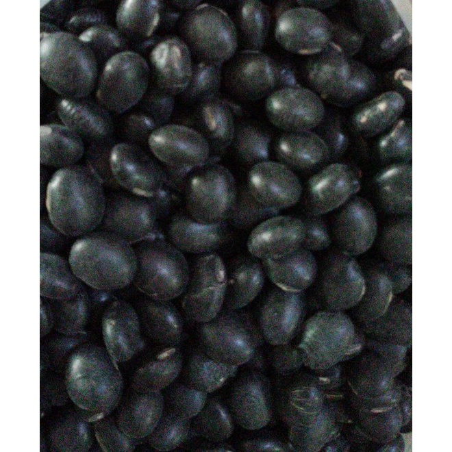

KedelaiHitam