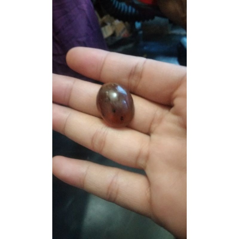 

Mustika Getah Katilayu