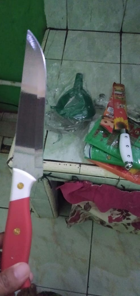 Pisau Dapur Stainless (p2)