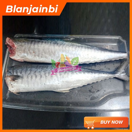 

Ikan Tenggiri Bandung Area