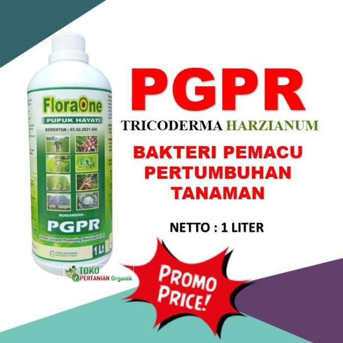 TRICODERMA Fungisida Obat penyakit akar putih, Pupuk Hayati Cair PGPR