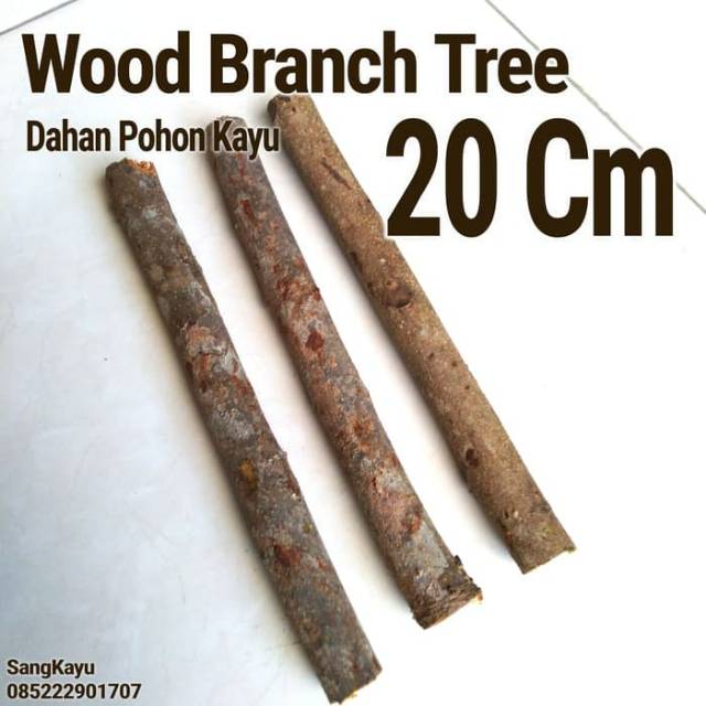 Wood Branch Tree 1-2x20 Cm Dahan kayu potongan kayu bahan craft dekor