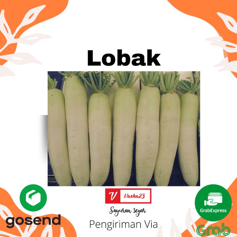 

LOBAK PUTIH