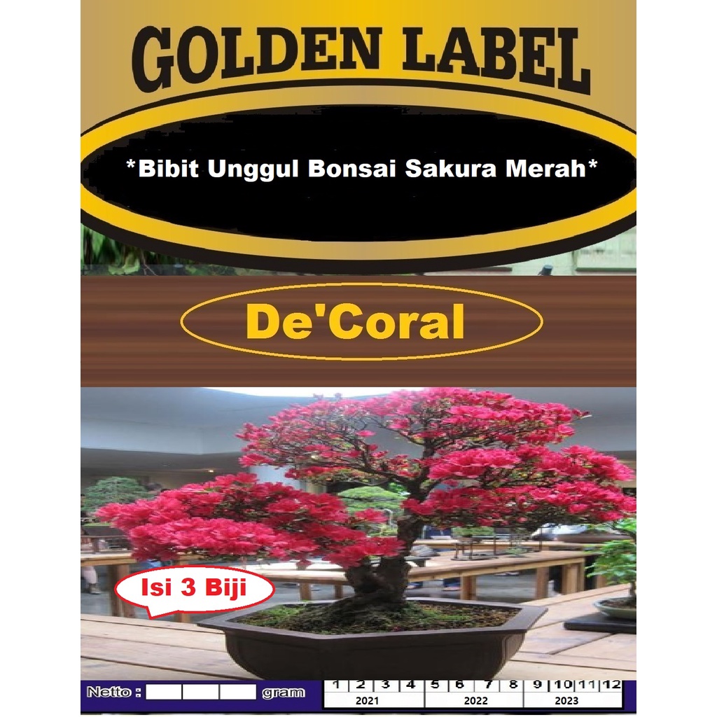 Bibit Bonsai Sakura Merah | Benih Bonsai Sakura Merah | Bibit Bunga Sakura