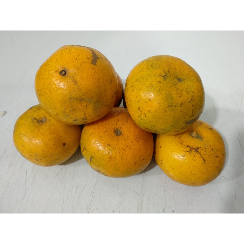 

Jeruk Medan SP - 1 Kg isi 6-8 Buah