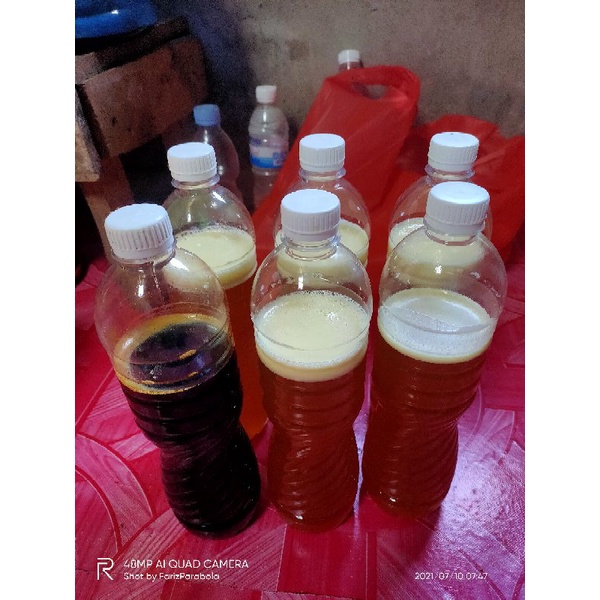 

madu sialang hitam pahit