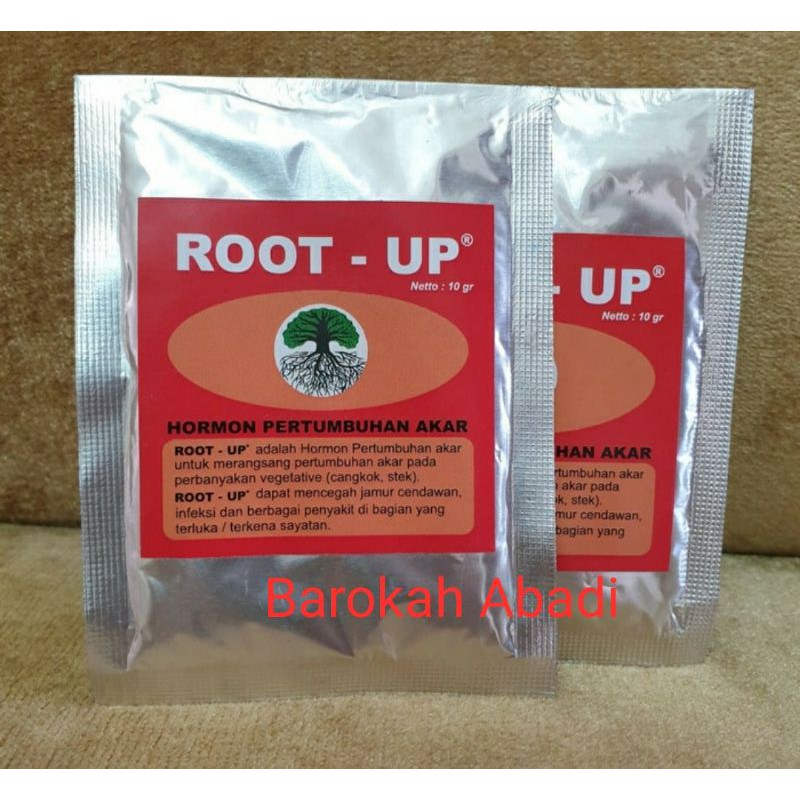 Root Up sachet hormon pertumbuhan akar 10gr